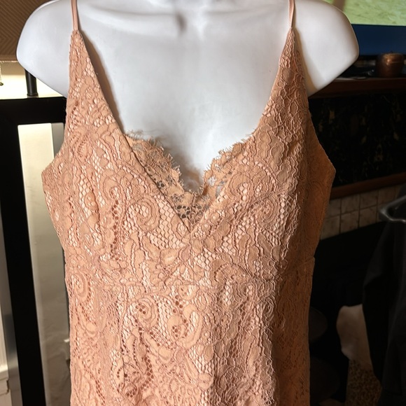 Gorgeous Bardot nude lace dress, size 10. - Picture 2 of 8